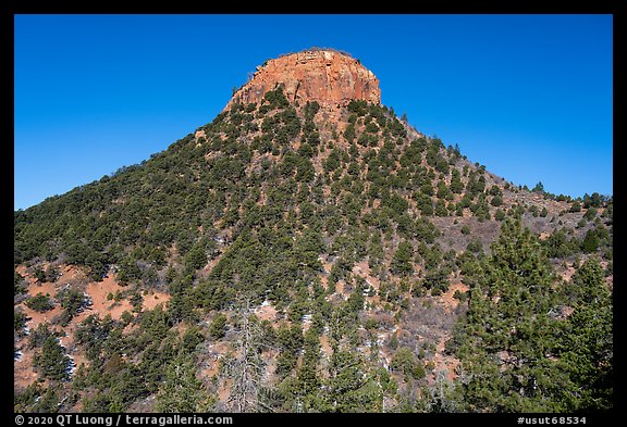 West Bears Ears Butte. Bears Ears National Monument, Utah, USA (color)