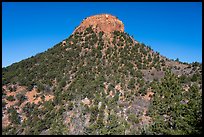 West Bears Ears Butte. Bears Ears National Monument, Utah, USA ( color)