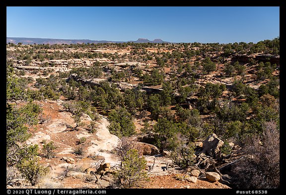 Canyons and Bears Ears Buttes in the distance. Bears Ears National Monument, Utah, USA (color)