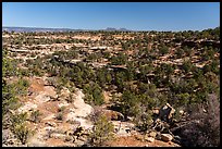 Canyons and Bears Ears Buttes in the distance. Bears Ears National Monument, Utah, USA ( color)