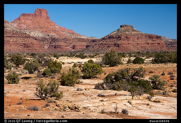 Slickrock and buttes, Soldiers Crossing. Bears Ears National Monument, Utah, USA (color)