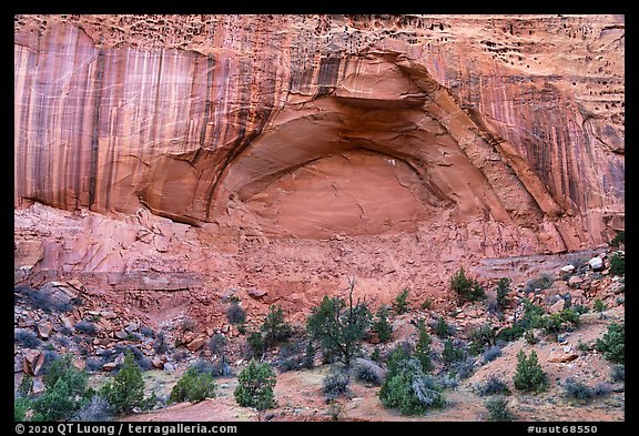 Alcove, Long Canyon. Grand Staircase Escalante National Monument, Utah, USA (color)