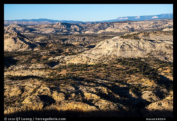 Slickrock domes. Grand Staircase Escalante National Monument, Utah, USA (color)