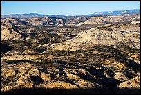 Slickrock domes. Grand Staircase Escalante National Monument, Utah, USA ( color)