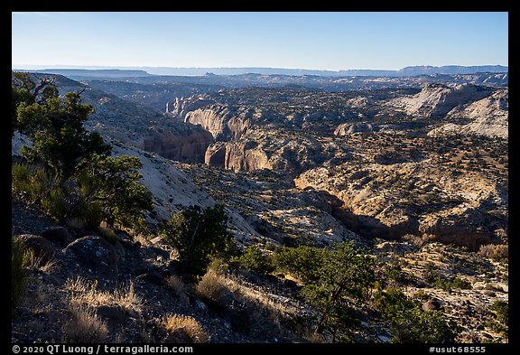 Canyons from Hogback Ridge. Grand Staircase Escalante National Monument, Utah, USA (color)