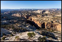 Slickrock and canyons from Hogback Ridge. Grand Staircase Escalante National Monument, Utah, USA ( color)