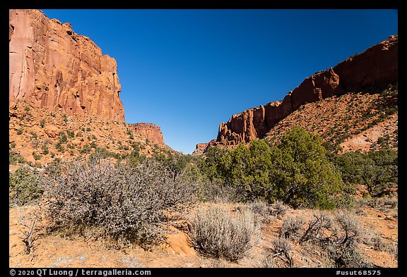 Long Canyon. Grand Staircase Escalante National Monument, Utah, USA (color)