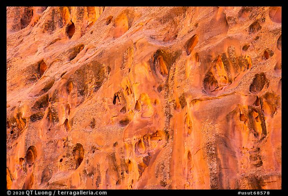 Cliff with holes, Long Canyon. Grand Staircase Escalante National Monument, Utah, USA (color)