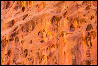 Cliff with holes, Long Canyon. Grand Staircase Escalante National Monument, Utah, USA ( color)