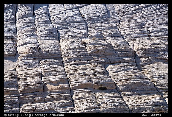 Crossbedded Navajo Sandstone, Burr Trail. Grand Staircase Escalante National Monument, Utah, USA