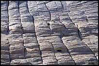 Crossbedded Navajo Sandstone, Burr Trail. Grand Staircase Escalante National Monument, Utah, USA ( color)