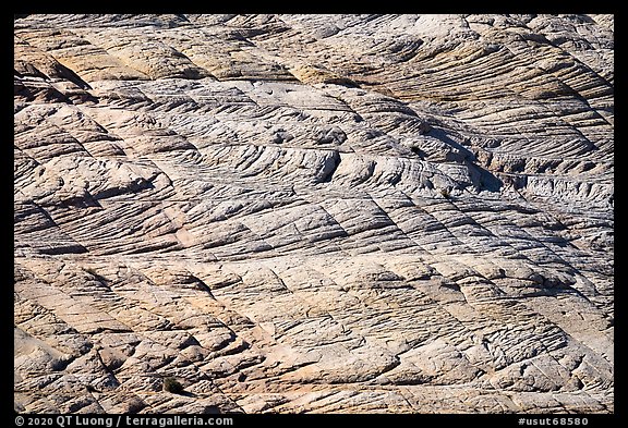 Crossbedded Petrified Dunes, Burr Trail. Grand Staircase Escalante National Monument, Utah, USA (color)