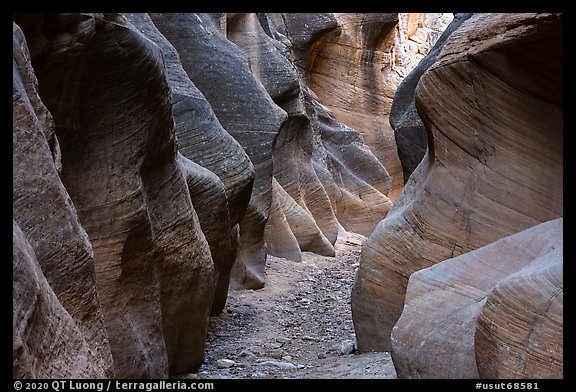 Willis Creek slot canyon. Grand Staircase Escalante National Monument, Utah, USA (color)