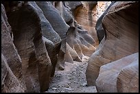 Willis Creek slot canyon. Grand Staircase Escalante National Monument, Utah, USA ( color)