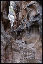 Slot canyon with Willis Creek flowing. Grand Staircase Escalante National Monument, Utah, USA ( color)