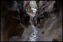 dark Willis Creek narrows. Grand Staircase Escalante National Monument, Utah, USA ( color)