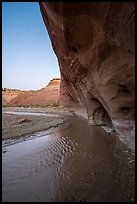 Paria River and Windows at dawn. Grand Staircase Escalante National Monument, Utah, USA ( color)