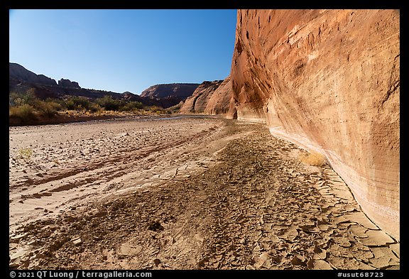 Cliffs and cracked mud. Paria Canyon Vermilion Cliffs Wilderness, Arizona, USA (color)