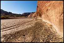 Cliffs and cracked mud. Paria Canyon Vermilion Cliffs Wilderness, Arizona, USA ( color)