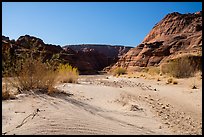 Sand dune. Paria Canyon Vermilion Cliffs Wilderness, Arizona, USA ( color)