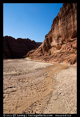 Paria River in wide canyon. Paria Canyon Vermilion Cliffs Wilderness, Arizona, USA (color)