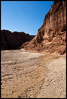 Paria River in wide canyon. Paria Canyon Vermilion Cliffs Wilderness, Arizona, USA ( color)