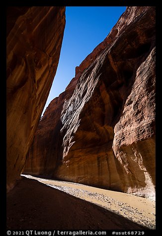 Narrow band of sunlight in canyon. Paria Canyon Vermilion Cliffs Wilderness, Arizona, USA (color)