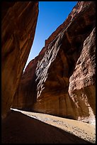 Narrow band of sunlight in canyon. Paria Canyon Vermilion Cliffs Wilderness, Arizona, USA ( color)