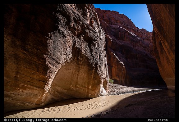 Paria River Canyon with narrow band of light. Paria Canyon Vermilion Cliffs Wilderness, Arizona, USA (color)