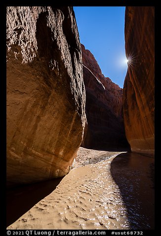 Paria River Canyon and sun. Paria Canyon Vermilion Cliffs Wilderness, Arizona, USA