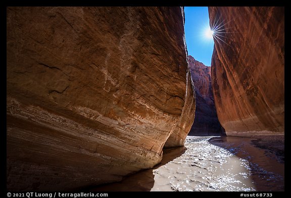 Paria River Canyon walls and sun. Paria Canyon Vermilion Cliffs Wilderness, Arizona, USA (color)