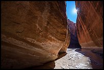 Paria River Canyon walls and sun. Paria Canyon Vermilion Cliffs Wilderness, Arizona, USA ( color)