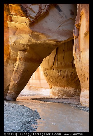 Paria River flowinng through Sliderock Arch. Paria Canyon Vermilion Cliffs Wilderness, Arizona, USA (color)