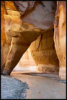 Paria River flowinng through Sliderock Arch. Paria Canyon Vermilion Cliffs Wilderness, Arizona, USA ( color)