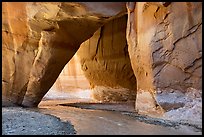 Slide Rock Arch with Paria River flowing through. Paria Canyon Vermilion Cliffs Wilderness, Arizona, USA ( color)