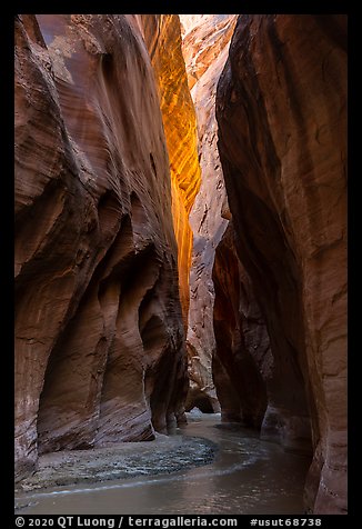 Glow in tall canyon walls. Vermilion Cliffs National Monument, Arizona, USA (color)