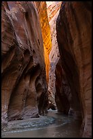 Glow in tall canyon walls. Vermilion Cliffs National Monument, Arizona, USA ( color)