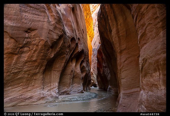 Paria River flowing in glowing slot canyon. Vermilion Cliffs National Monument, Arizona, USA (color)