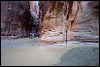 Confluence of Paria Canyon and Buckskin Gulch. Paria Canyon Vermilion Cliffs Wilderness, Arizona, USA ( color)