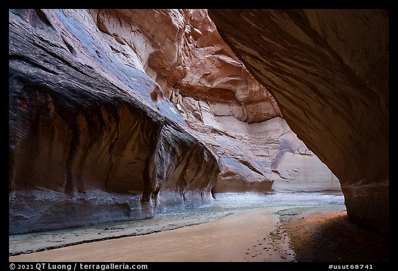 Paria River in narrow section of canyon. Paria Canyon Vermilion Cliffs Wilderness, Arizona, USA (color)