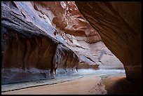 Paria River in narrow section of canyon. Paria Canyon Vermilion Cliffs Wilderness, Arizona, USA ( color)