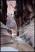Buckskin Gulch near its confluence with Paria Canyon. Paria Canyon Vermilion Cliffs Wilderness, Arizona, USA ( color)