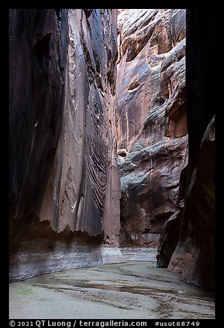 Buckskin Gulch slot canyon. Paria Canyon Vermilion Cliffs Wilderness, Arizona, USA (color)