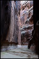 Buckskin Gulch slot canyon. Paria Canyon Vermilion Cliffs Wilderness, Arizona, USA ( color)