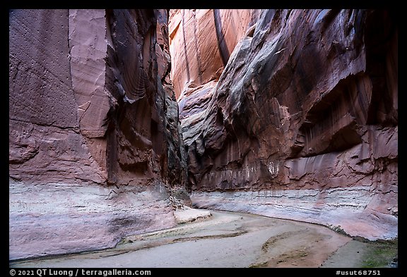 Dark and tall walls of Buckskin Gulch. Paria Canyon Vermilion Cliffs Wilderness, Arizona, USA (color)