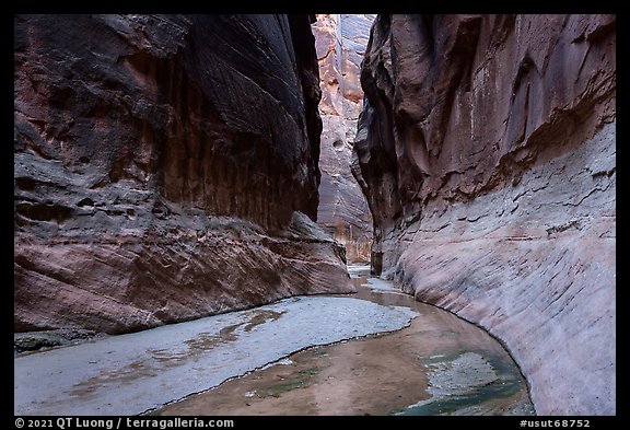 Clear waters of Buckskin Gulch at the confluence. Paria Canyon Vermilion Cliffs Wilderness, Arizona, USA (color)