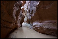 Muddy waters of the Paria River in Paria Canyon. Vermilion Cliffs National Monument, Arizona, USA ( color)