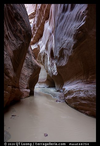 Muddy Paria River in canyon. Vermilion Cliffs National Monument, Arizona, USA (color)