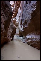 Muddy Paria River in canyon. Vermilion Cliffs National Monument, Arizona, USA ( color)