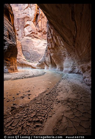 Paria River Canyon with cracked mud. Vermilion Cliffs National Monument, Arizona, USA (color)